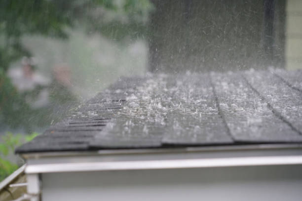 Best Metal Roofing Installation  in Kearney, MO